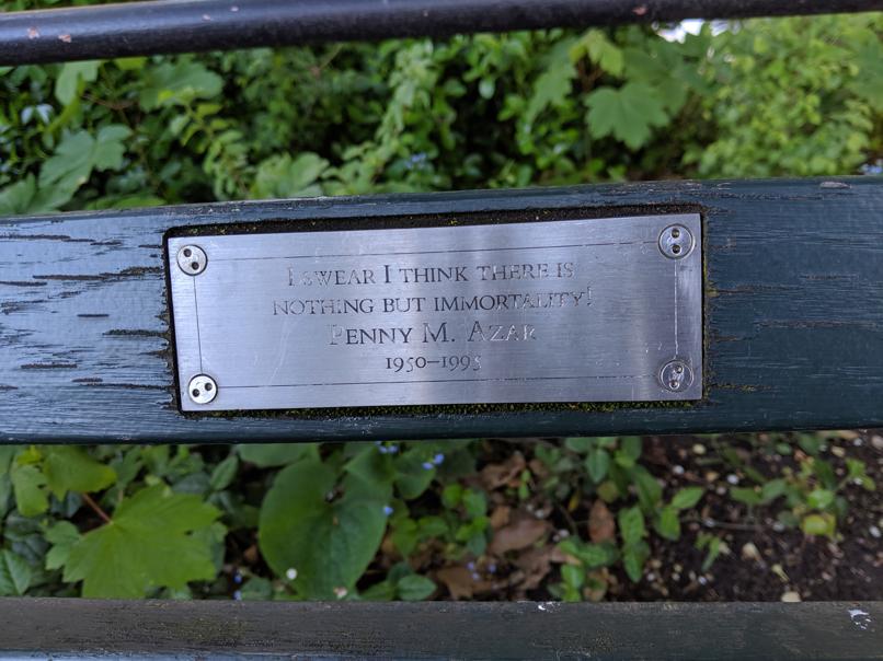 I saw this bench in Central Park