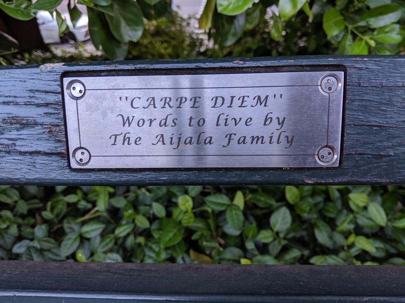 I saw this bench in Central Park