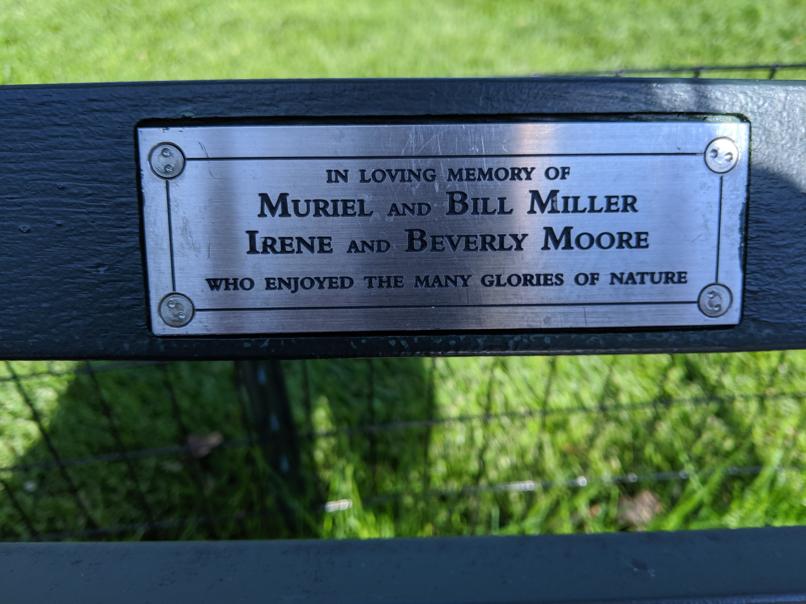 I saw this bench in Central Park