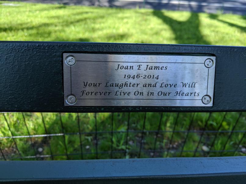 I saw this bench in Central Park