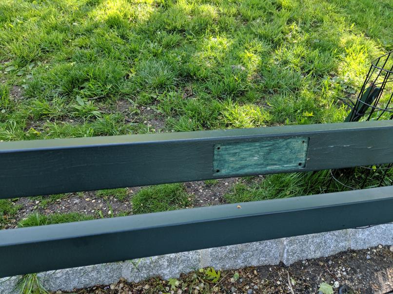 I saw this bench in Central Park