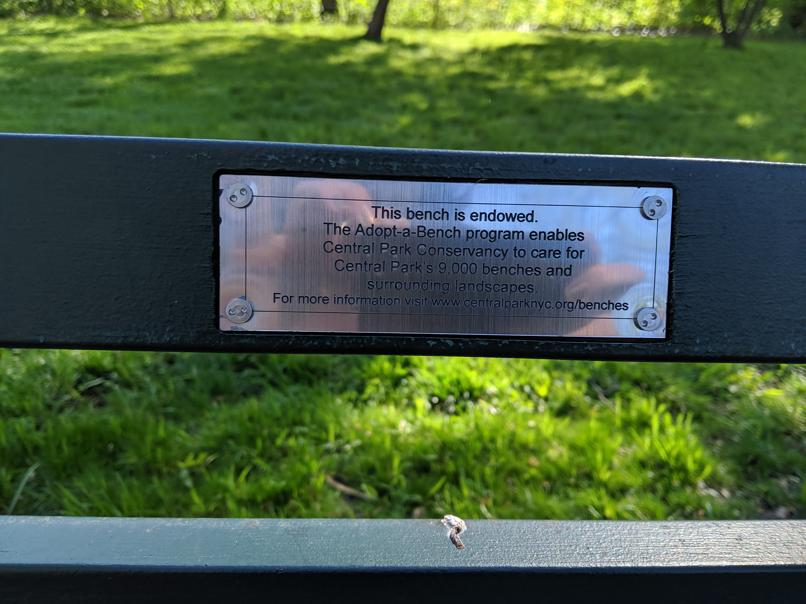 I saw this bench in Central Park