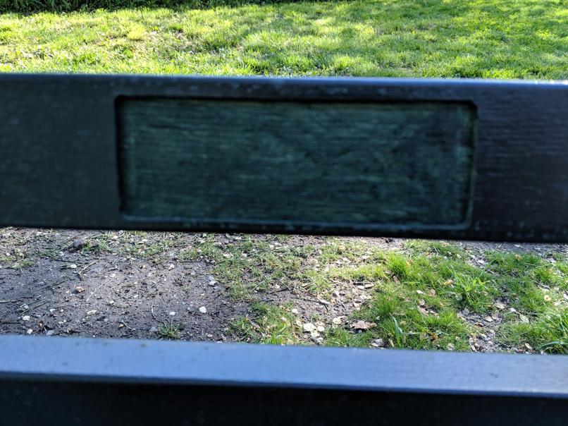 I saw this bench in Central Park