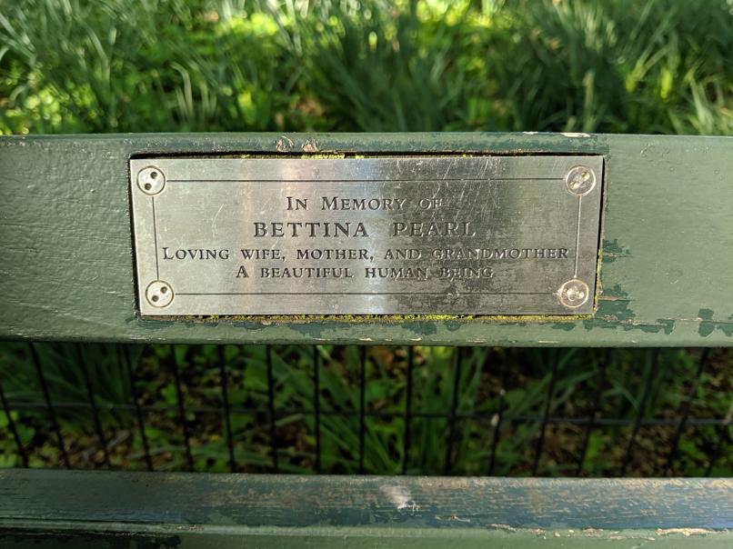 I saw this bench in Central Park