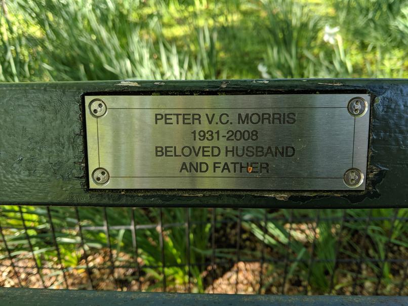 I saw this bench in Central Park