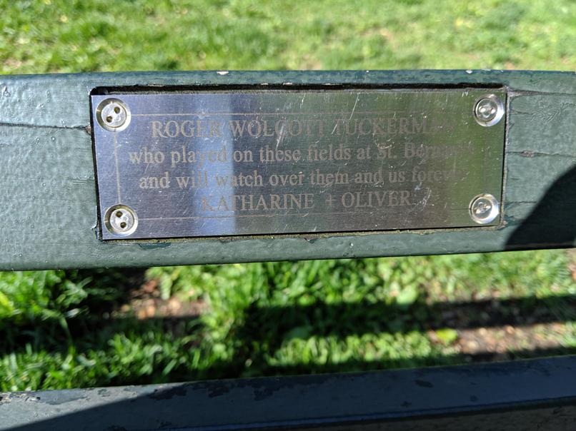 I saw this bench in Central Park