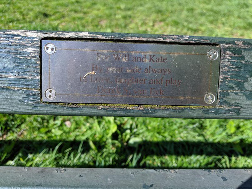 I saw this bench in Central Park