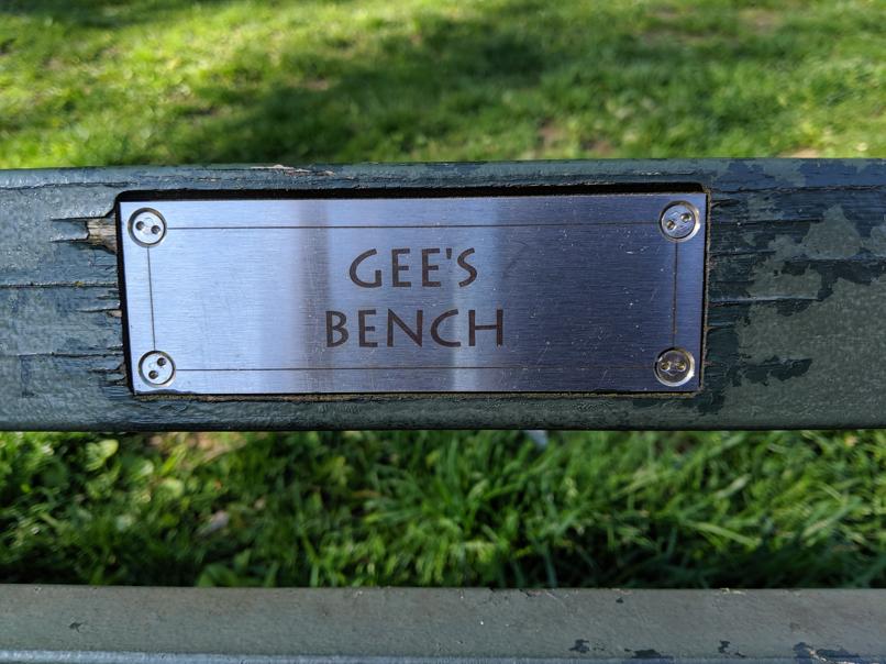 I saw this bench in Central Park