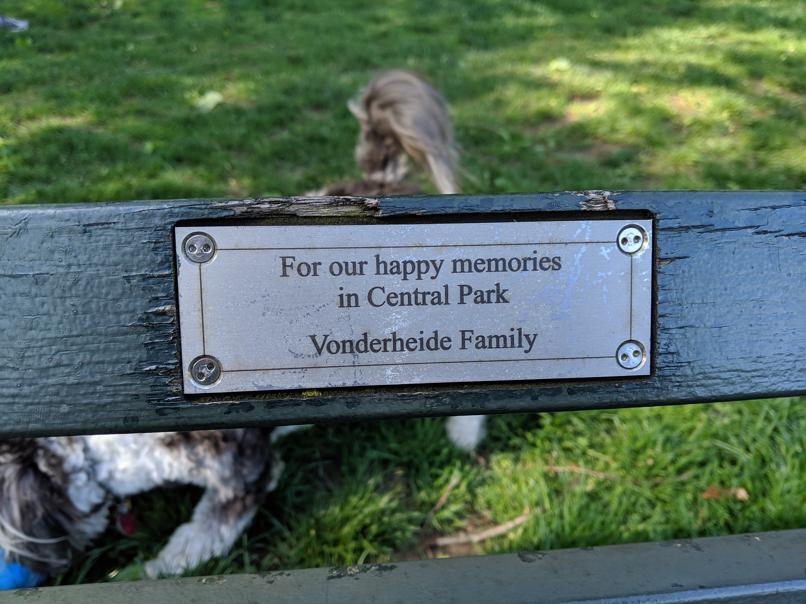 I saw this bench in Central Park