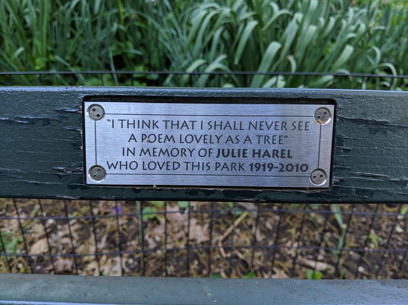 I saw this bench in Central Park