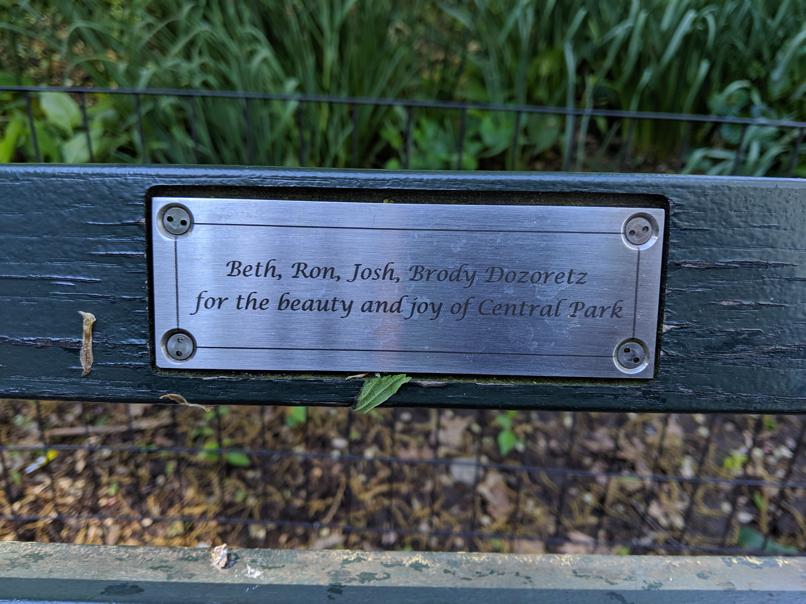 I saw this bench in Central Park