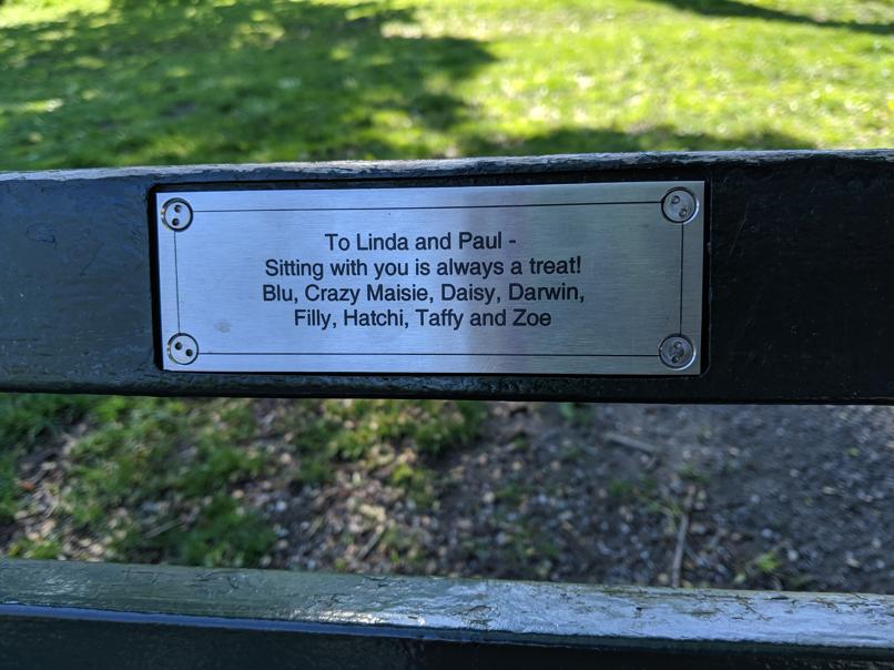 I saw this bench in Central Park