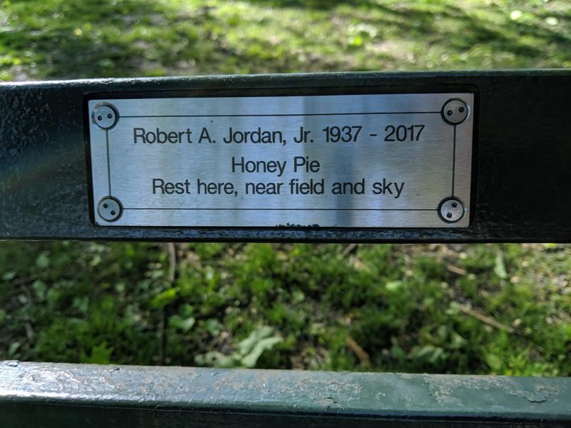 I saw this bench in Central Park