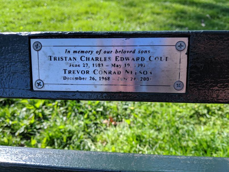 I saw this bench in Central Park