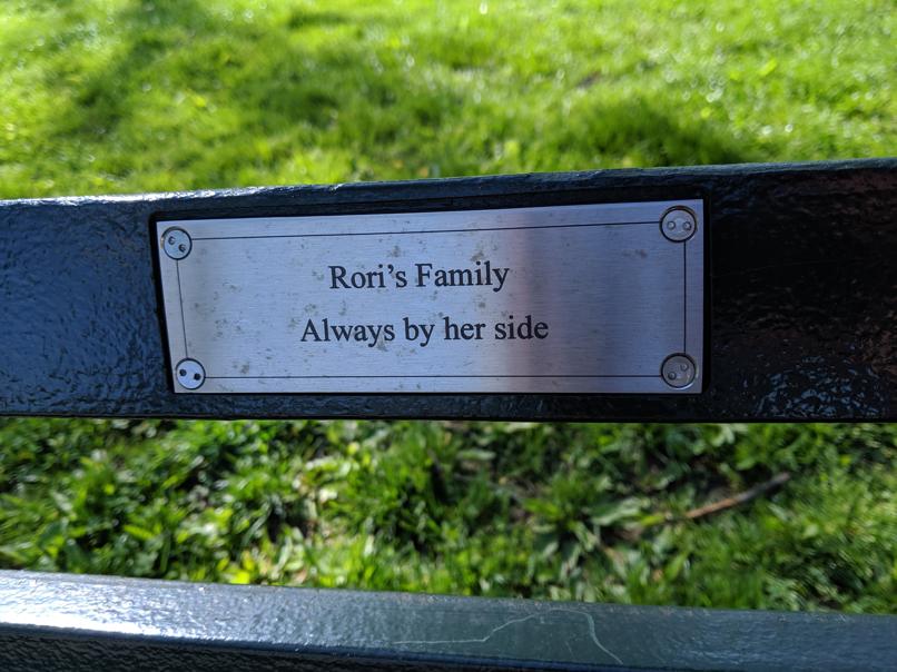 I saw this bench in Central Park