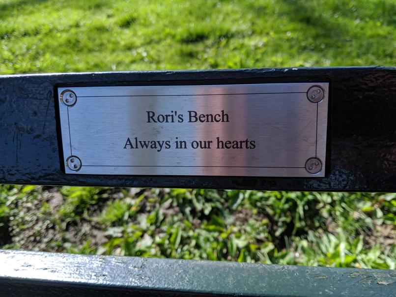 I saw this bench in Central Park