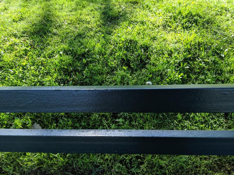 I saw this bench in Central Park