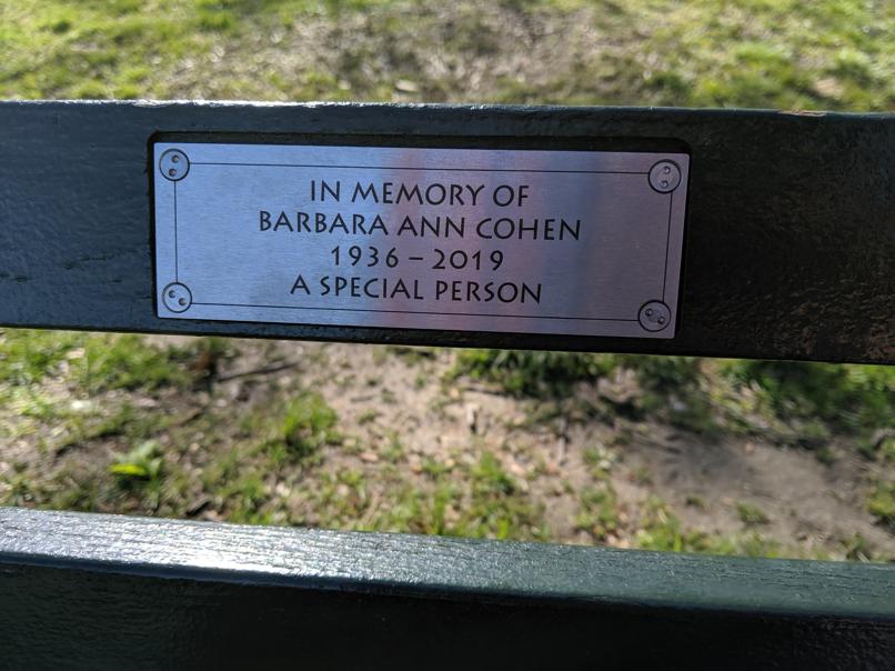 I saw this bench in Central Park