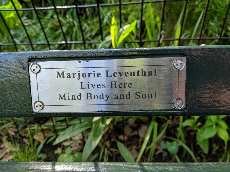 I saw this bench in Central Park