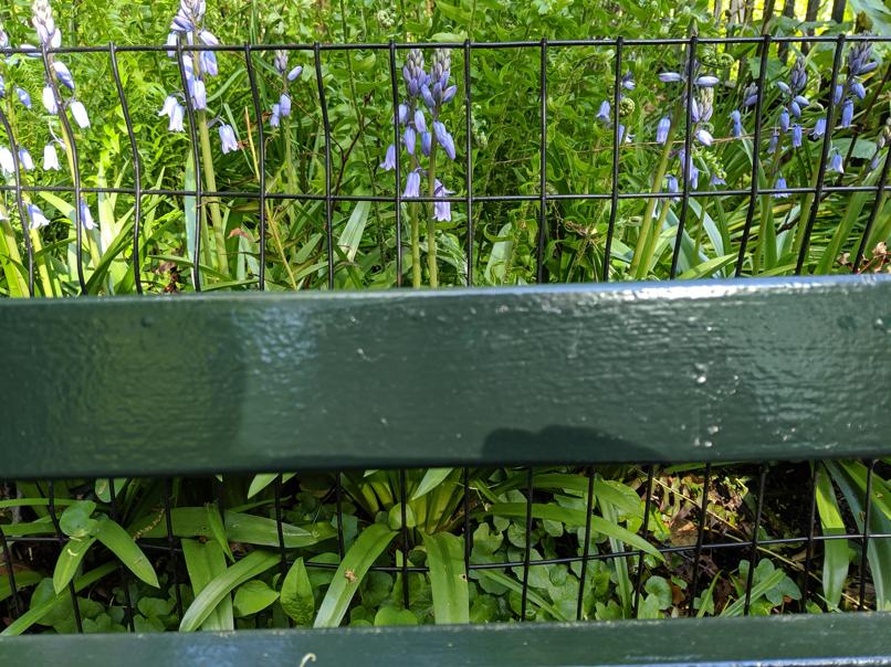 I saw this bench in Central Park