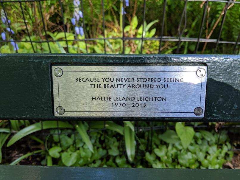 I saw this bench in Central Park