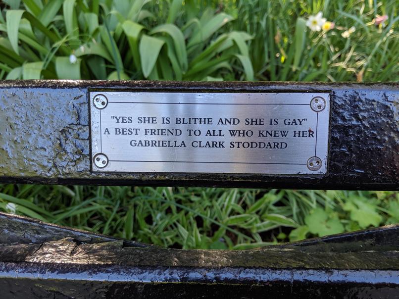 I saw this bench in Central Park