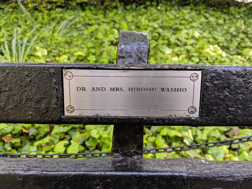 I saw this bench in Central Park