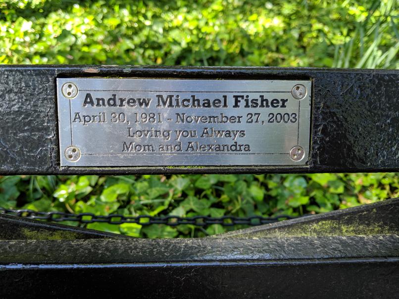 I saw this bench in Central Park