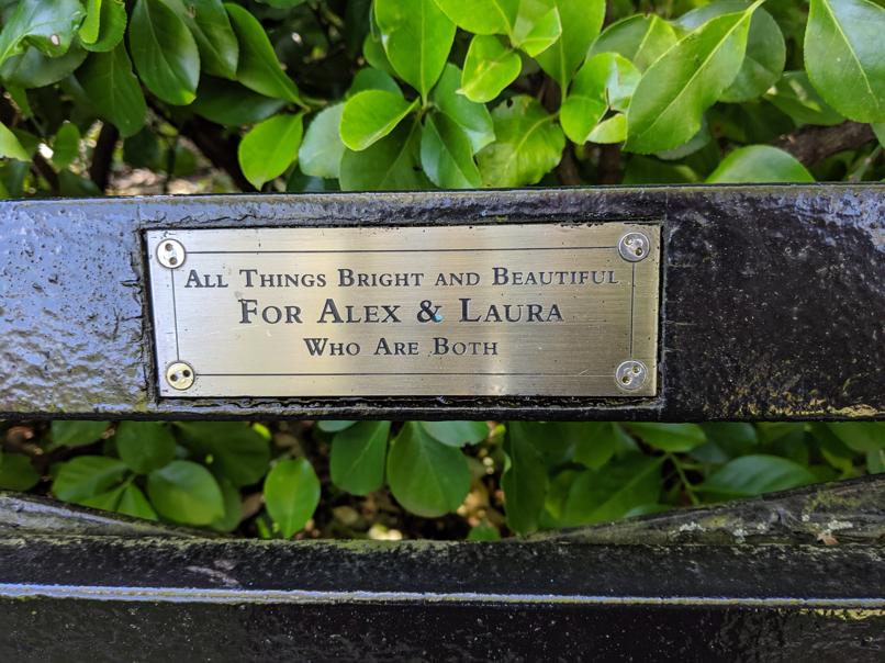 I saw this bench in Central Park