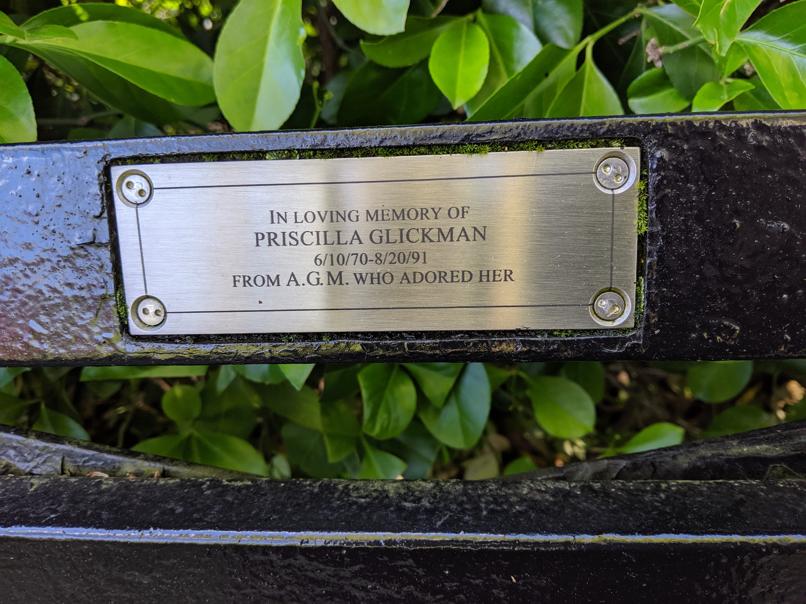 I saw this bench in Central Park