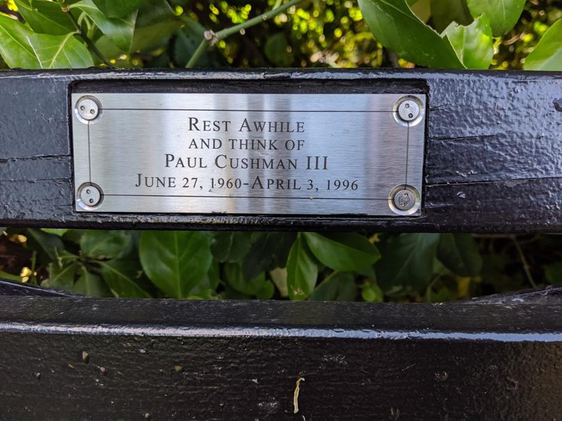 I saw this bench in Central Park