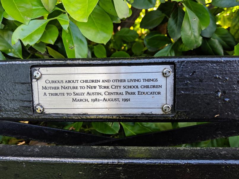 I saw this bench in Central Park