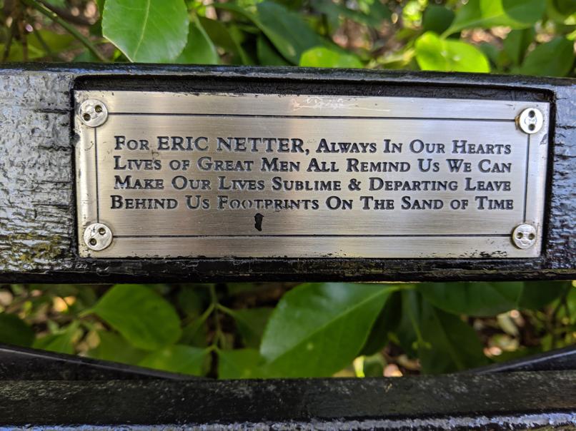 I saw this bench in Central Park