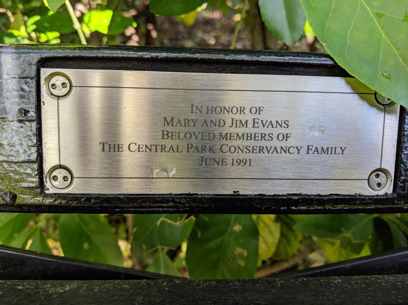 I saw this bench in Central Park