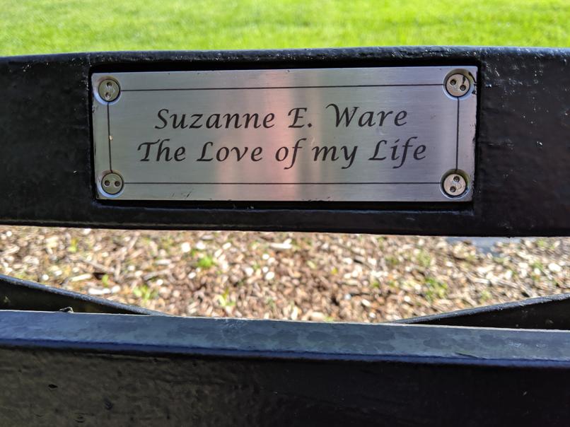 I saw this bench in Central Park