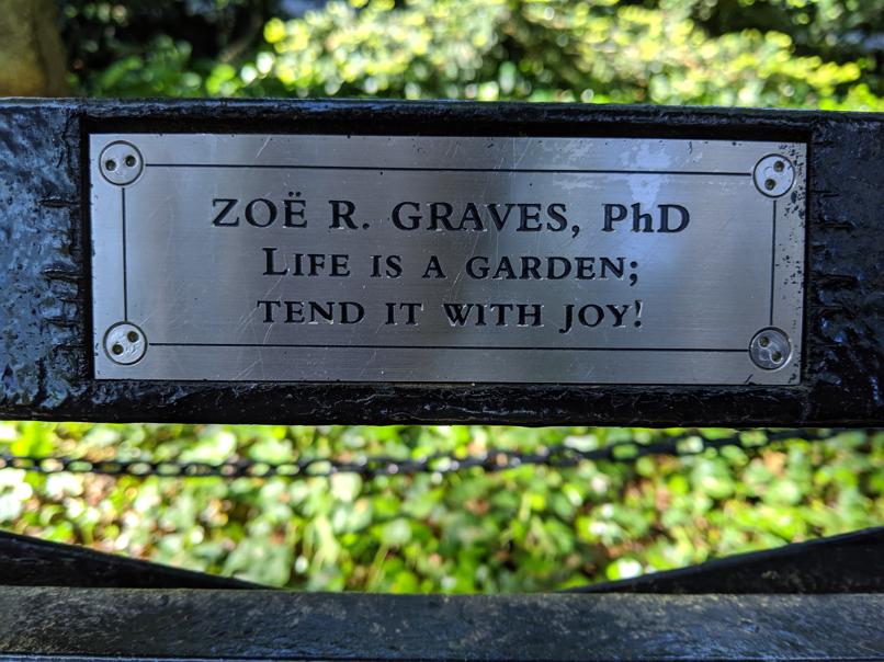 I saw this bench in Central Park