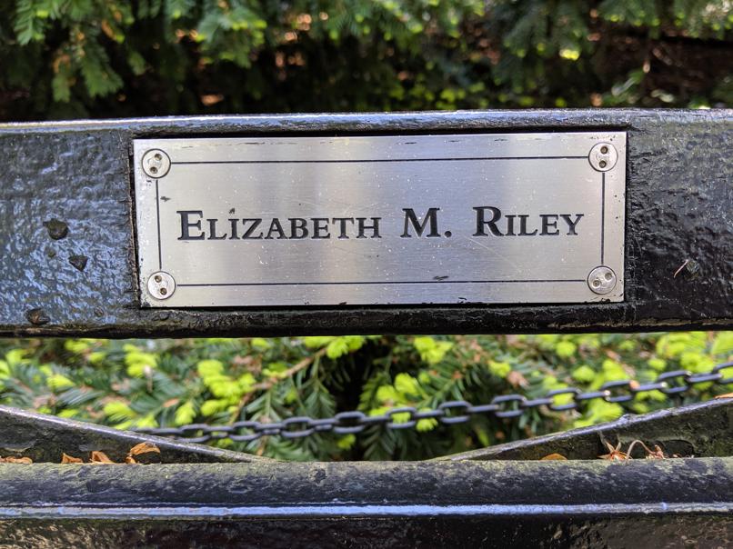 I saw this bench in Central Park