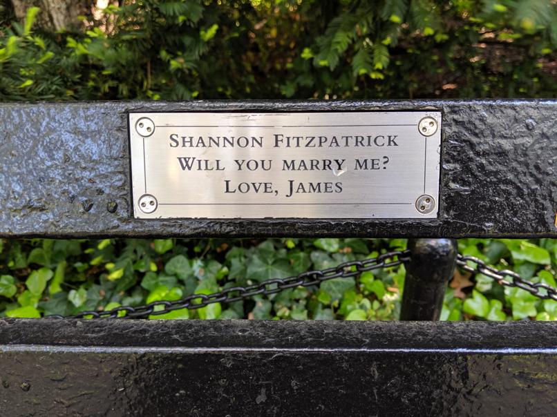 I saw this bench in Central Park