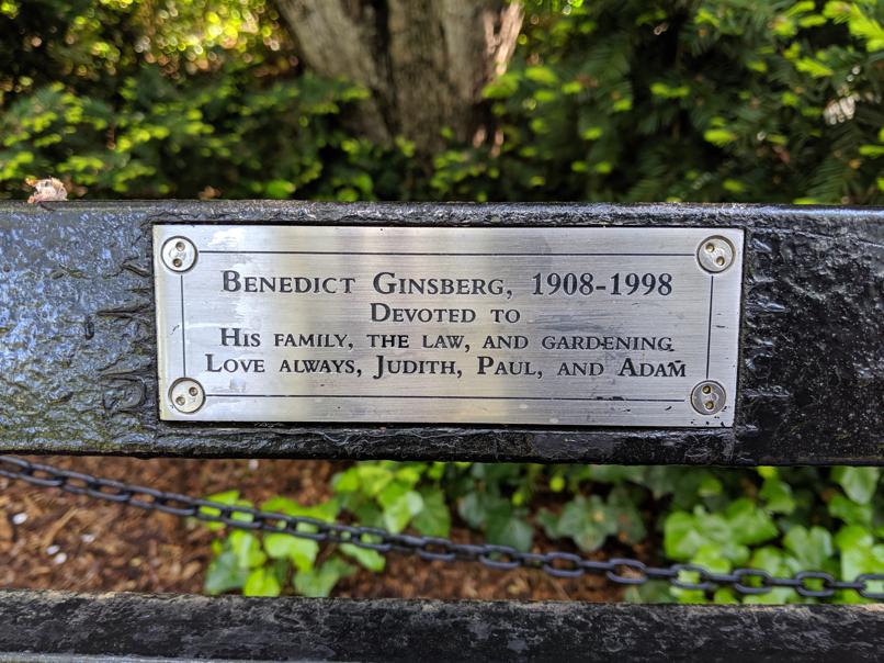 I saw this bench in Central Park