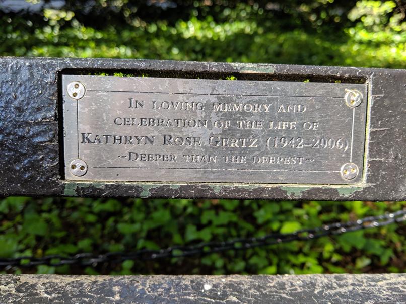 I saw this bench in Central Park