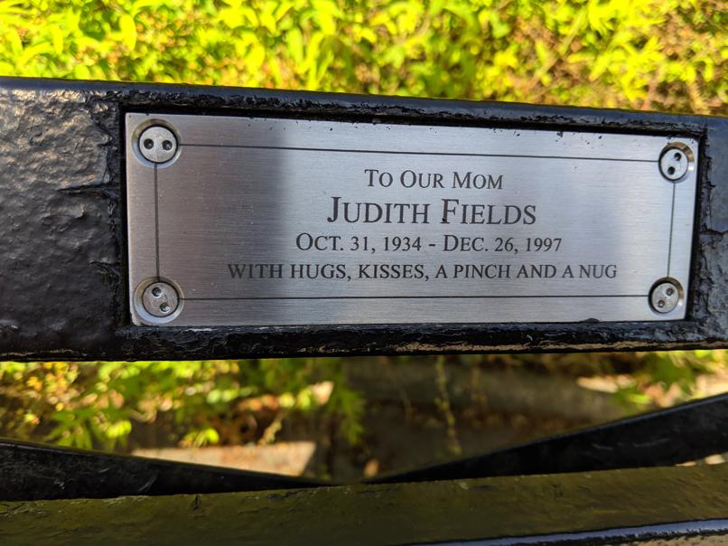 I saw this bench in Central Park