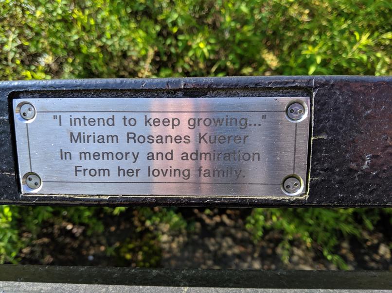 I saw this bench in Central Park