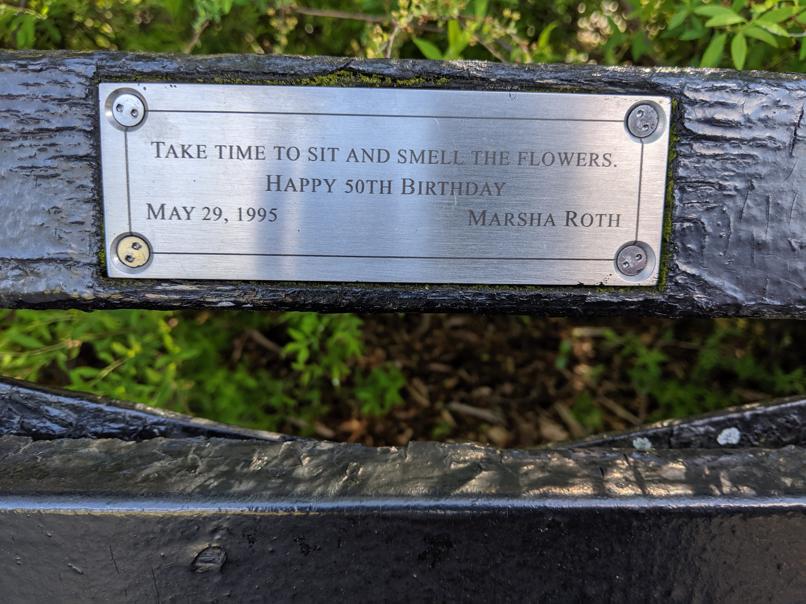 I saw this bench in Central Park