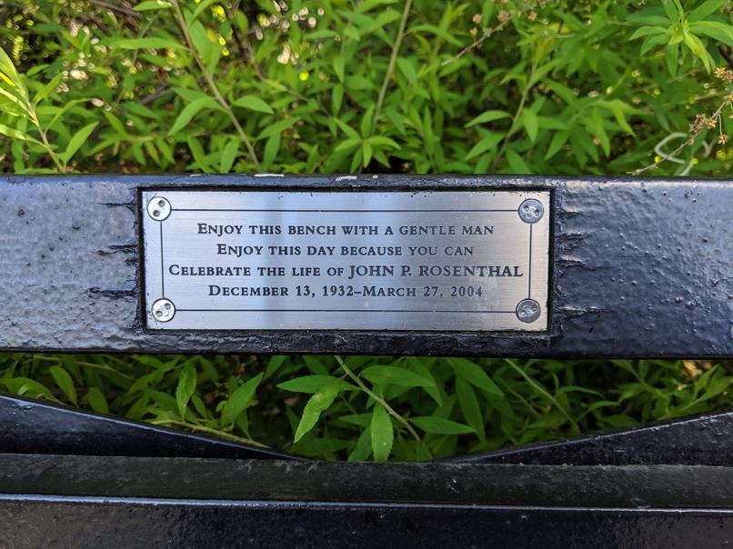 I saw this bench in Central Park