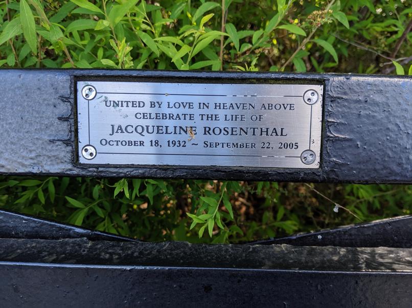 I saw this bench in Central Park