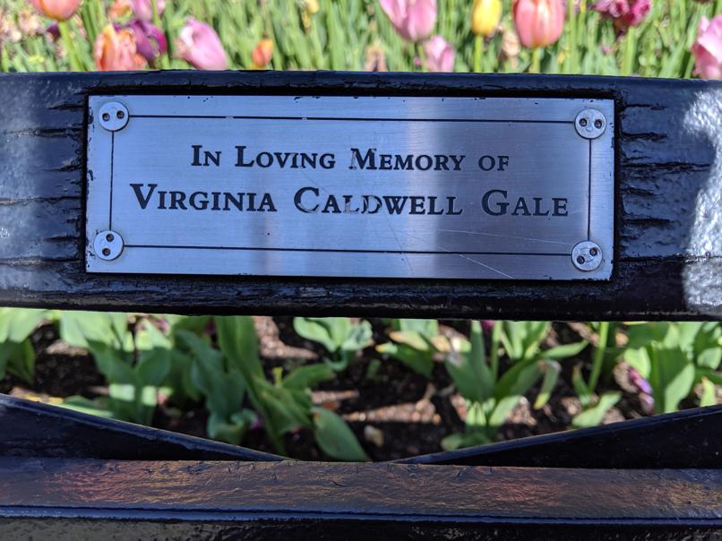 I saw this bench in Central Park