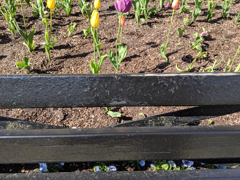 I saw this bench in Central Park