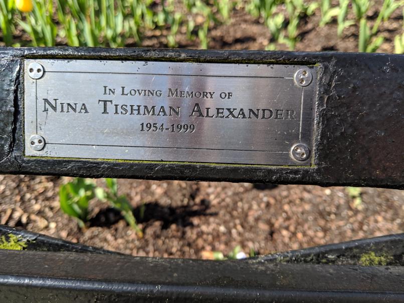 I saw this bench in Central Park