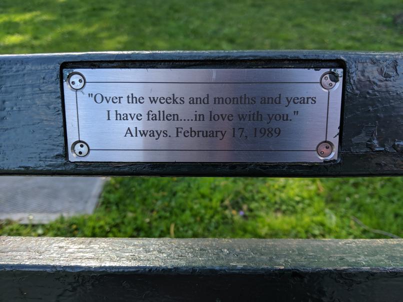 I saw this bench in Central Park