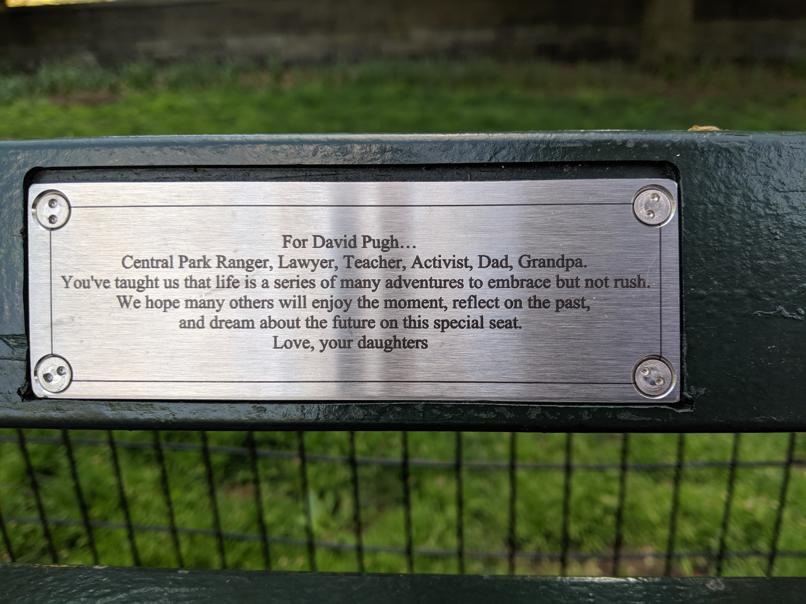 I saw this bench in Central Park